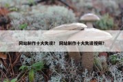 网站制作十大失误？ 网站制作十大失误视频？