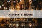 展示形网站开发？ 展示型网站有哪些？