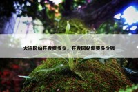 大连网站开发费多少，开发网站需要多少钱