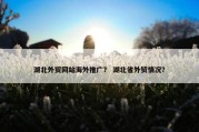 湖北外贸网站海外推广？ 湖北省外贸情况？