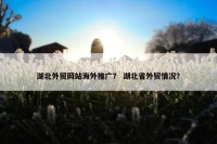 湖北外贸网站海外推广？ 湖北省外贸情况？