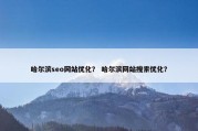 哈尔滨seo网站优化？ 哈尔滨网站搜索优化？