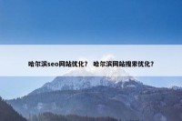 哈尔滨seo网站优化？ 哈尔滨网站搜索优化？