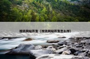 视讯网站开发（视讯网站开发怎么样）