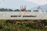 建站源码个好？ 自助建站源码php？