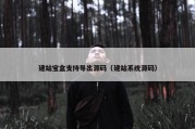 建站宝盒支持导出源码（建站系统源码）