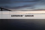 盐田网站排名推广（盐田区在线）