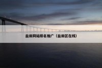盐田网站排名推广（盐田区在线）