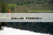 亚马逊seo搜索，亚马逊搜索引擎seo