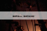服务专业seo（服务专业文案）