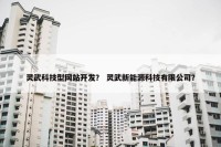 灵武科技型网站开发？ 灵武新能源科技有限公司？