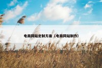 电商网站定制方案（电商网站制作）
