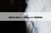 网站怎么简单seo（网站seo入门基础教程）