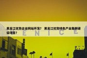 黑龙江优势企业网站开发？ 黑龙江优势特色产业集群建设项目？