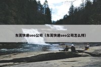 东莞快速seo公司（东莞快速seo公司怎么样）