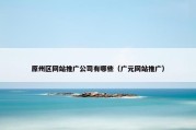 原州区网站推广公司有哪些（广元网站推广）