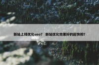 新站上线优化seo？ 新站优化效果好的超快排？