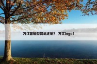万江营销型网站定制？ 万江logo？