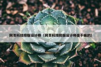 网页科技排版设计师（网页科技排版设计师是干嘛的）