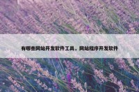 有哪些网站开发软件工具，网站程序开发软件