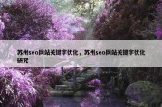 苏州seo网站关键字优化，苏州seo网站关键字优化研究