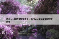 苏州seo网站关键字优化，苏州seo网站关键字优化研究