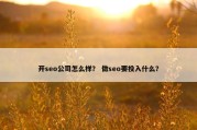 开seo公司怎么样？ 做seo要投入什么？