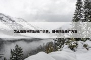 怎么做图书网站推广销售，图书网站推广方案