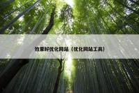 效果好优化网站（优化网站工具）