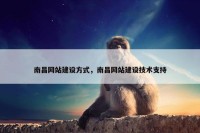 南昌网站建设方式，南昌网站建设技术支持