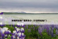 海曙网站推广服务多少（宁波网站推广）