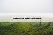Seo移动端作用（移动seo数据分析）