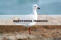 网站建设专家如何选（网站建设首选）