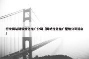 行业网站建设优化推广公司（网站优化推广营销公司排名）