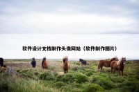 软件设计文档制作头像网站（软件制作图片）