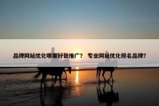 品牌网站优化哪里好做推广？ 专业网站优化排名品牌？