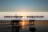品牌网站优化哪里好做推广？ 专业网站优化排名品牌？