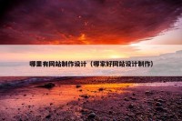 哪里有网站制作设计（哪家好网站设计制作）