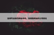 淄博专业制作网站号码，淄博做网站的公司排名