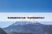 专业网站制作设计定制（专业的网站制作设计）