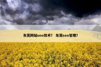 东莞网站seo技术？ 东莞seo管理？