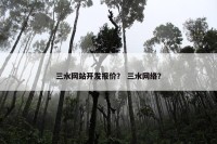 三水网站开发报价？ 三水网络？