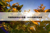 河南网站建设论文查重，2020河南论文抽查