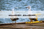 山东seo排名报价？ 青岛seo排名收费？