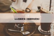 seo招商软文（招商软文范文）
