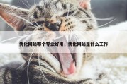 优化网站哪个专业好用，优化网站是什么工作