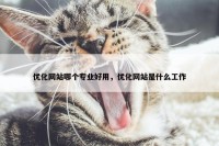 优化网站哪个专业好用，优化网站是什么工作