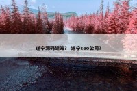 遂宁源码建站？ 遂宁seo公司？