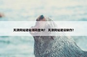 天津网站建站源码查询？ 天津网站建设制作？