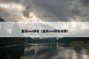 重庆seo排名（重庆seo排名收费）